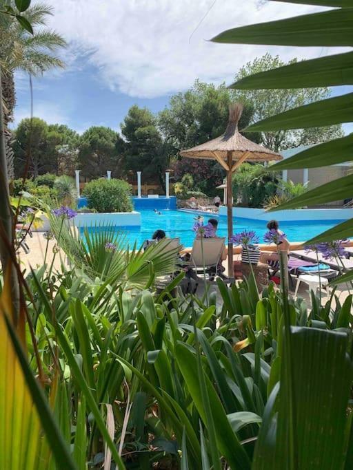 Appartement Cosy Confort Parking Clim Wifi Linge Acces Piscine Non Inclus Кане-ан-Руссійон Екстер'єр фото