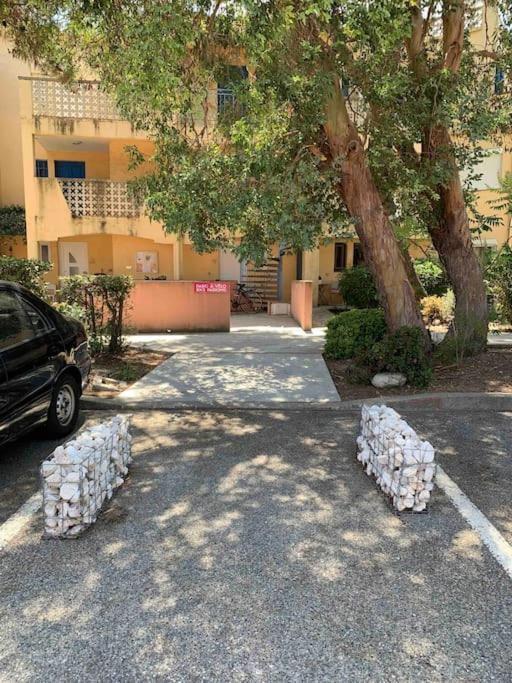 Appartement Cosy Confort Parking Clim Wifi Linge Acces Piscine Non Inclus Кане-ан-Руссійон Екстер'єр фото