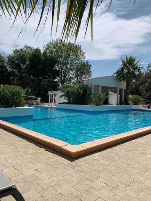 Appartement Cosy Confort Parking Clim Wifi Linge Acces Piscine Non Inclus Кане-ан-Руссійон Екстер'єр фото