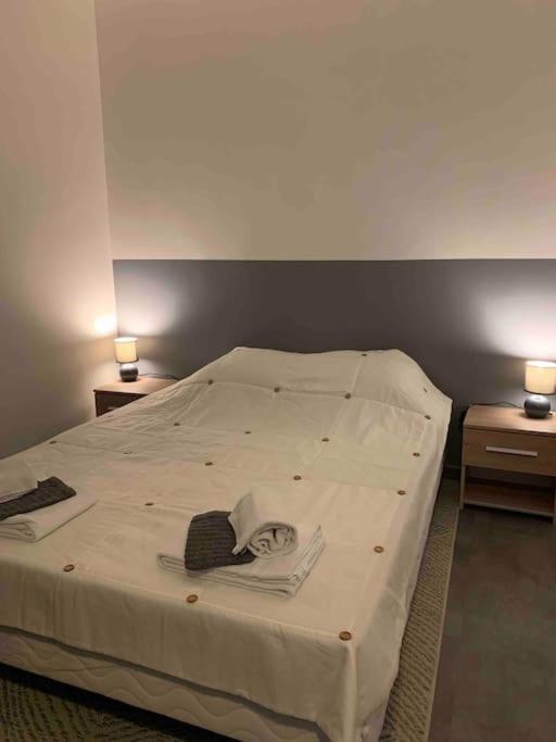 Appartement Cosy Confort Parking Clim Wifi Linge Acces Piscine Non Inclus Кане-ан-Руссійон Екстер'єр фото