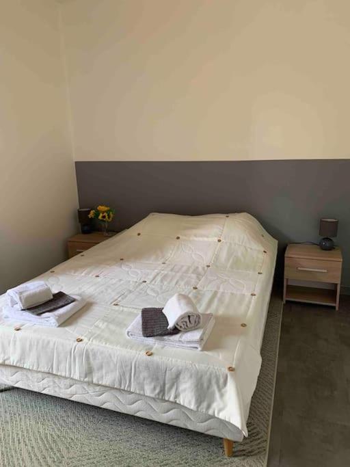 Appartement Cosy Confort Parking Clim Wifi Linge Acces Piscine Non Inclus Кане-ан-Руссійон Екстер'єр фото