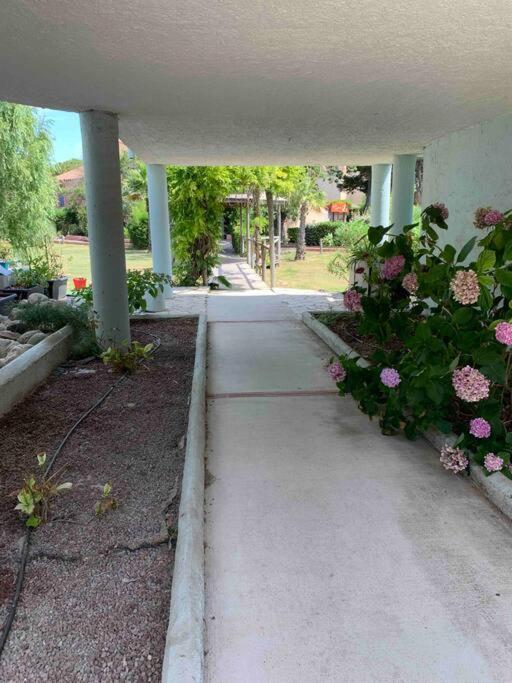 Appartement Cosy Confort Parking Clim Wifi Linge Acces Piscine Non Inclus Кане-ан-Руссійон Екстер'єр фото
