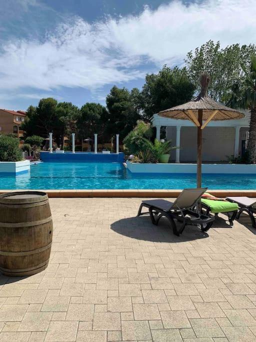 Appartement Cosy Confort Parking Clim Wifi Linge Acces Piscine Non Inclus Кане-ан-Руссійон Екстер'єр фото