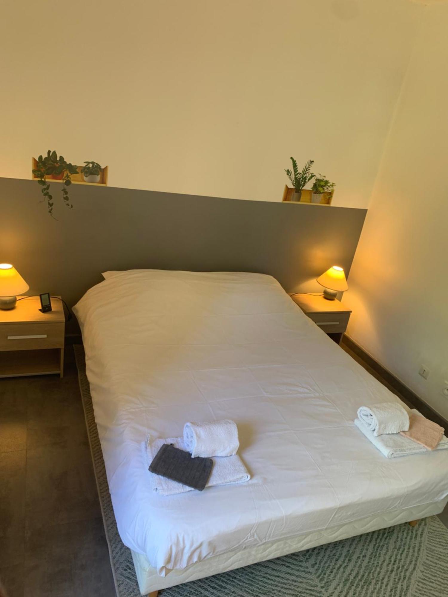Appartement Cosy Confort Parking Clim Wifi Linge Acces Piscine Non Inclus Кане-ан-Руссійон Екстер'єр фото